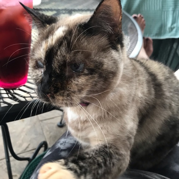 Meet your Posher, C - Picture 1 of 1